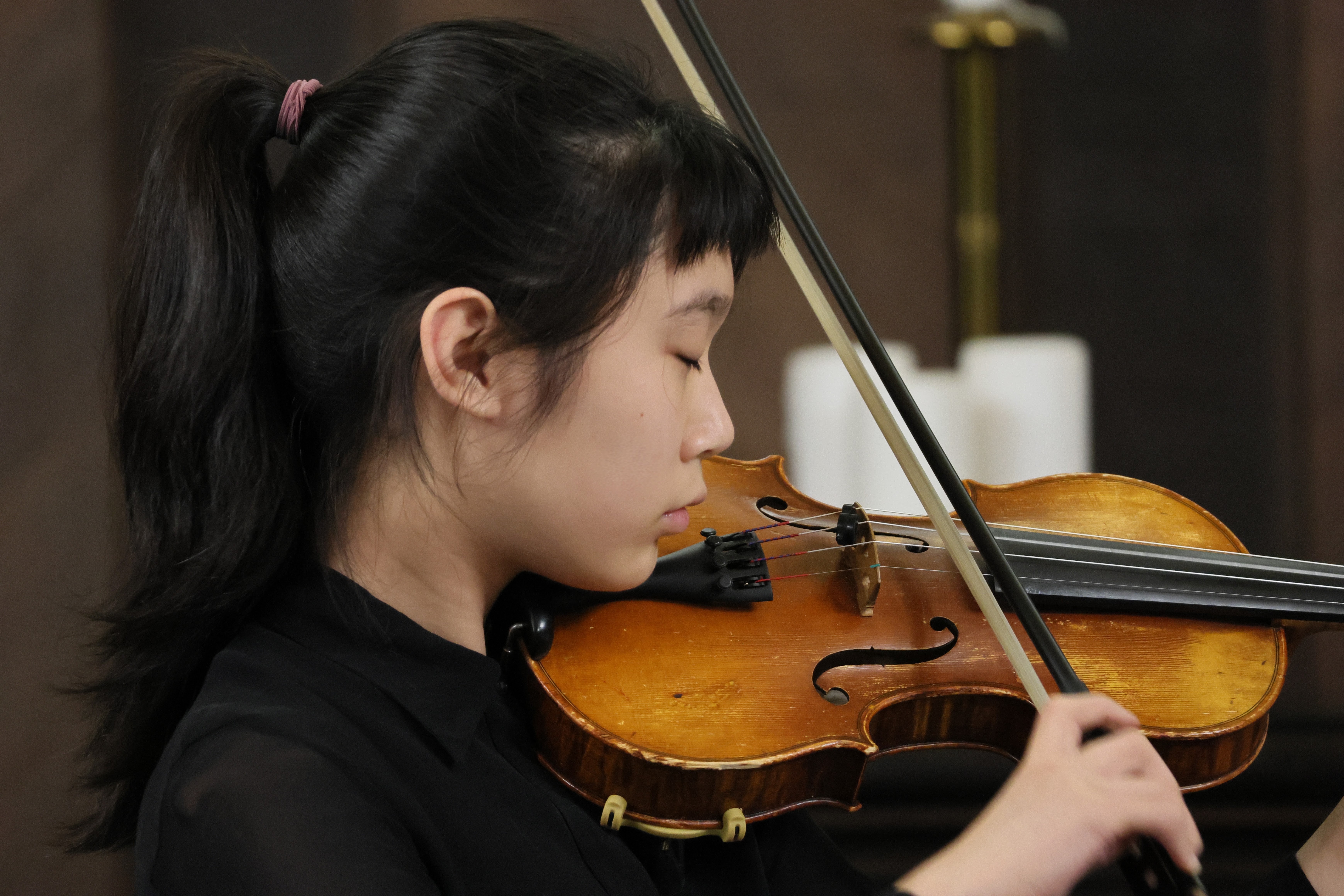 Violin
