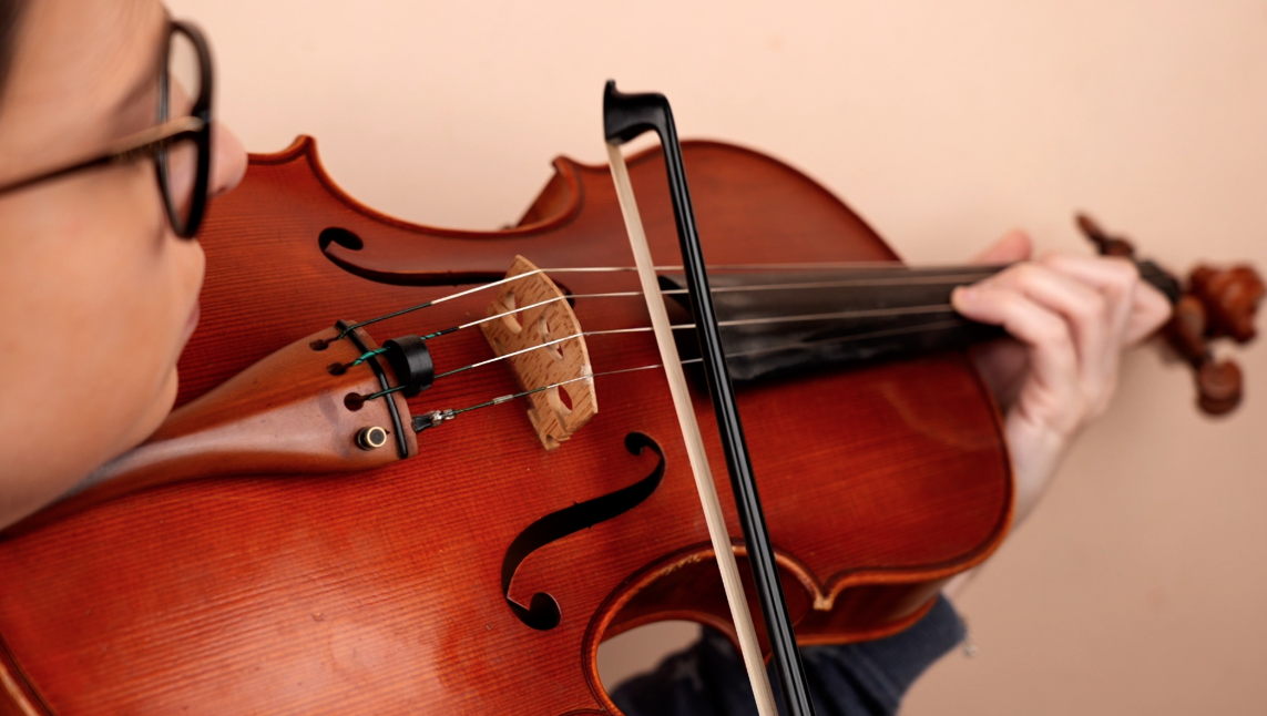 Viola